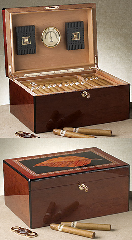The Capri - 50 Cigar Glasstop Humidor, Dark Oak Finish
