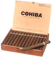 Corona  - 5 Pack