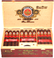 Belicoso - 4 Pack - Aged a full 5 years!