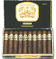 Magnifico - 5 Pack