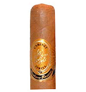 Robusto - 5 Pack