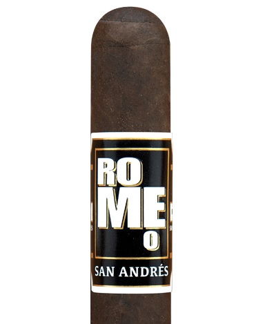 romeo y julieta vintage maduro cigars stick image