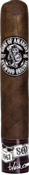 Robusto (5 x 50) - 5 Pack