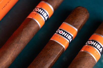 cohiba rubicon cigar image